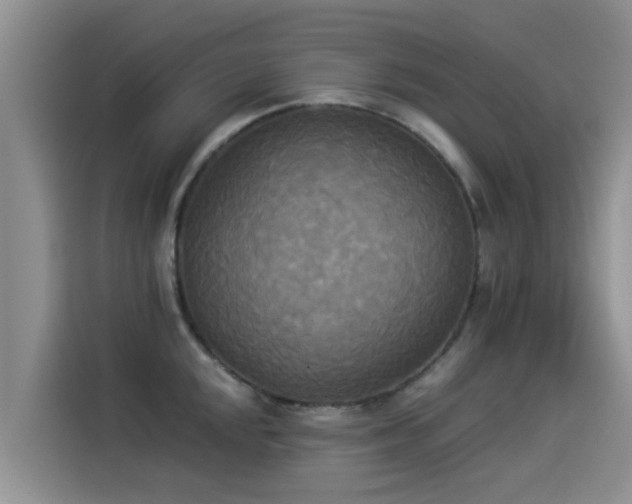 X0000114551048200910191407