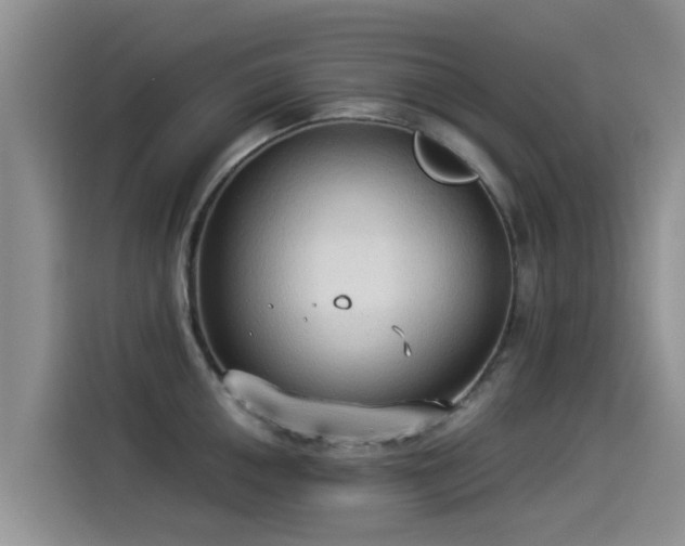 X0000114551050200910191407