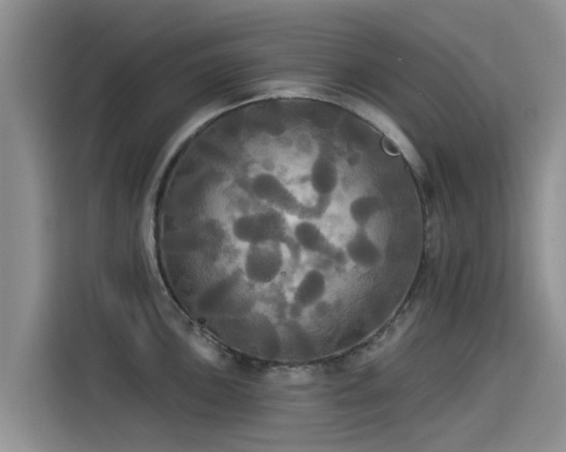 X0000114551051200910191407