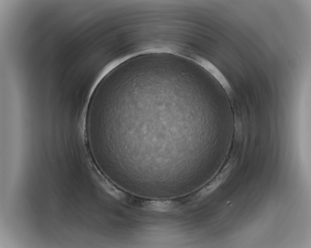 X0000114551052200910191407
