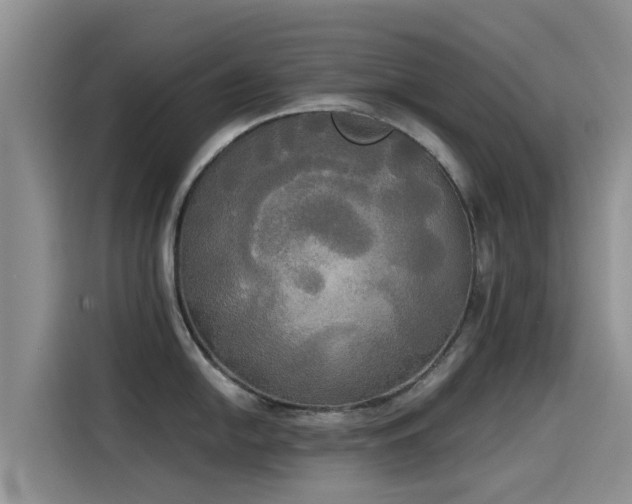 X0000114551054200910191407