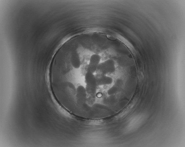 X0000114551055200910191407