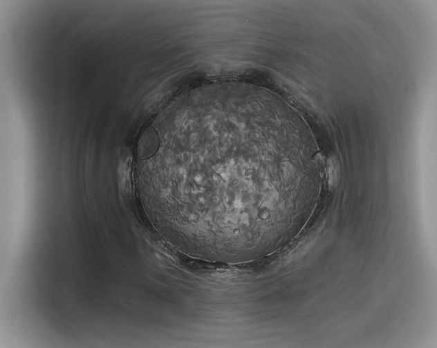 X0000114551059200910191407