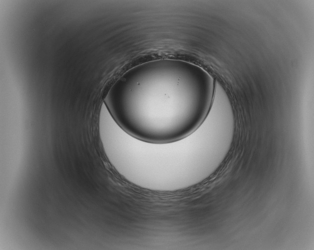 X0000114551060200910191407