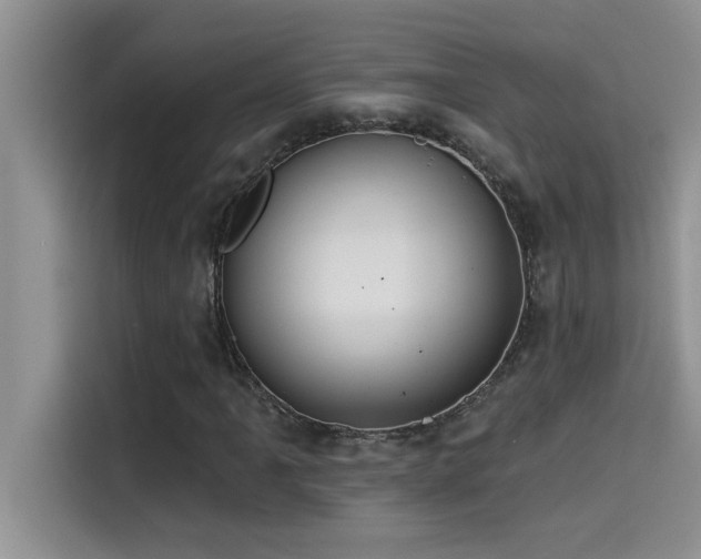 X0000114551061200910191407