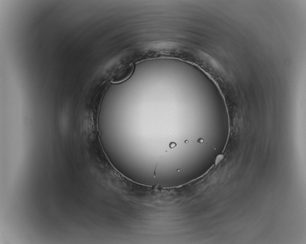 X0000114551062200910191407