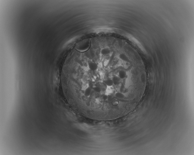 X0000114551063200910191407