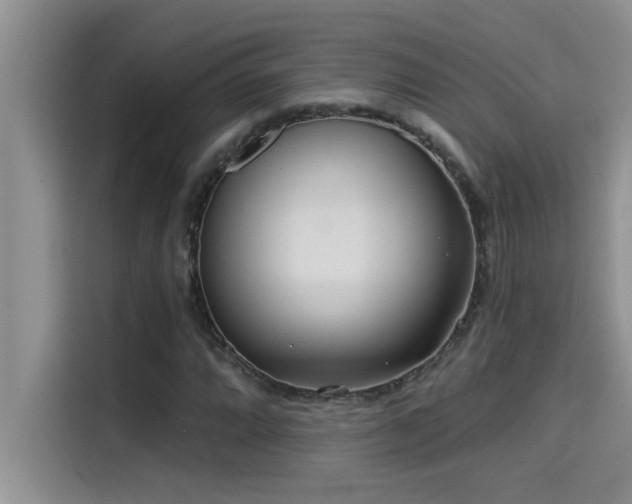 X0000114551064200910191407