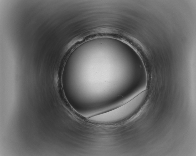 X0000114551065200910191407