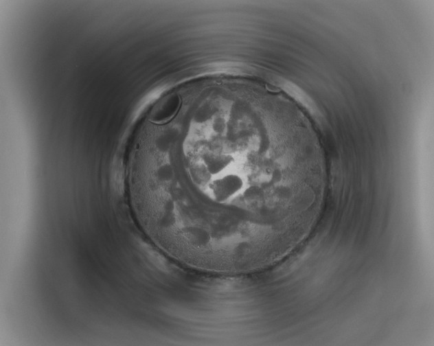 X0000114551067200910191406