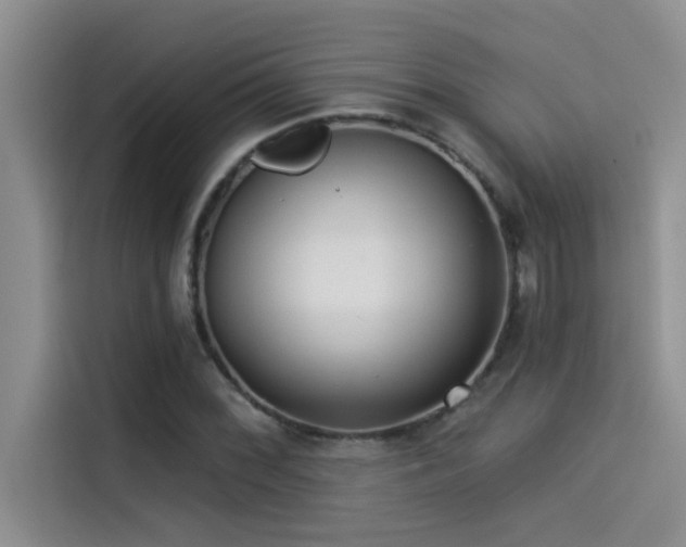 X0000114551068200910191406