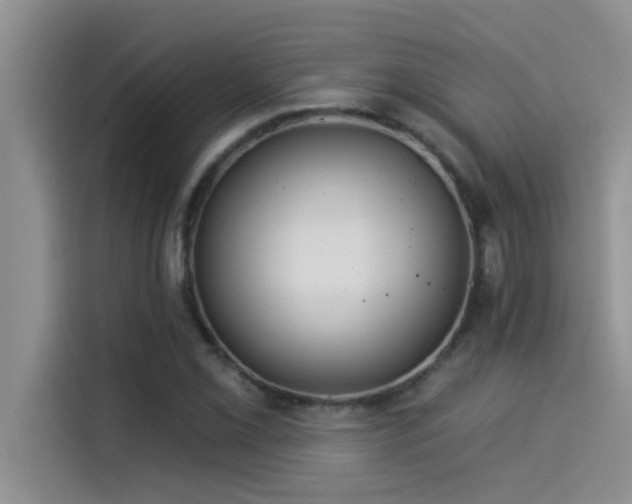 X0000114551069200910191406