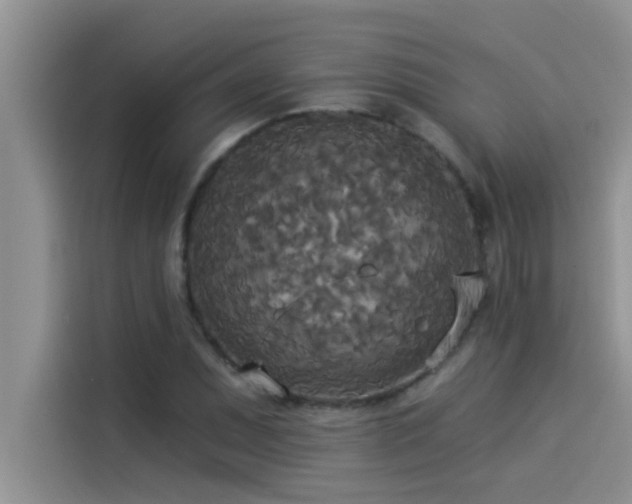 X0000114551071200910191406
