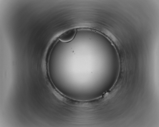 X0000114551072200910191406
