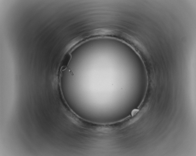 X0000114551073200910191406