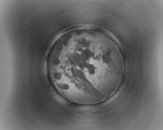 X0000114551075200910191406