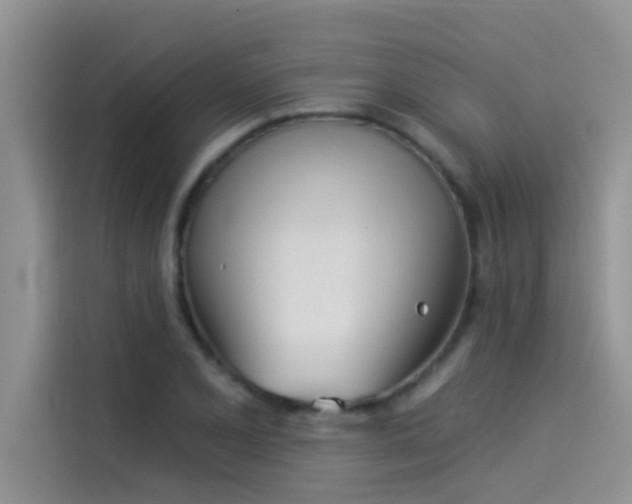 X0000114551077200910191406