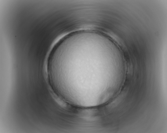 X0000114551078200910191406