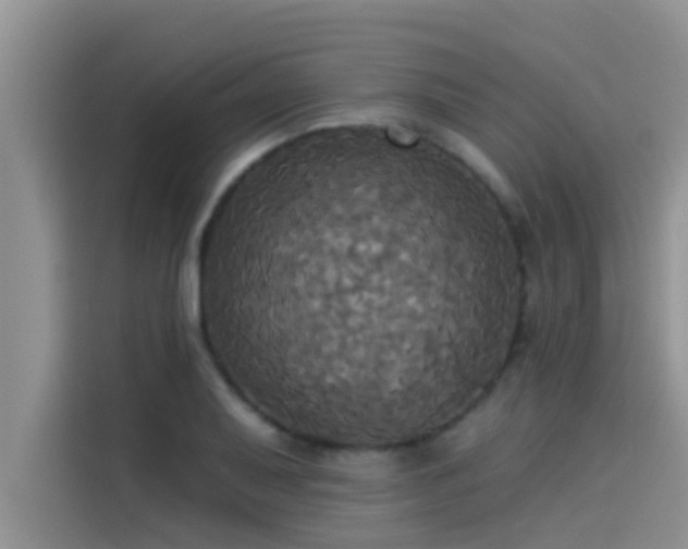X0000114551079200910191406