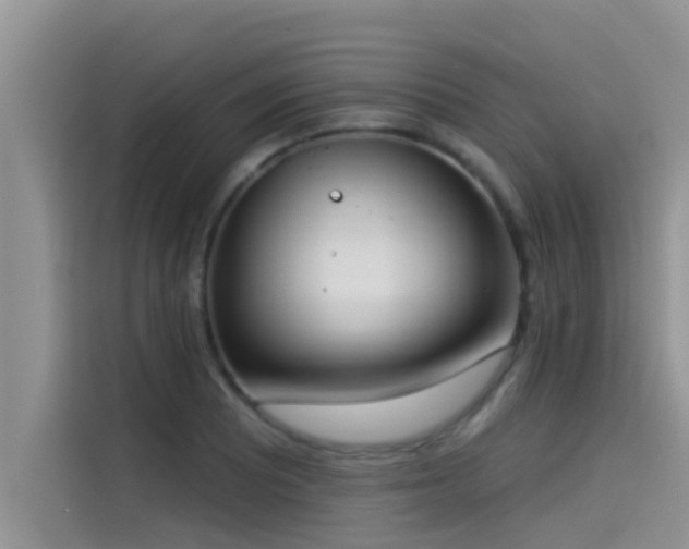 X0000114551081200910191406