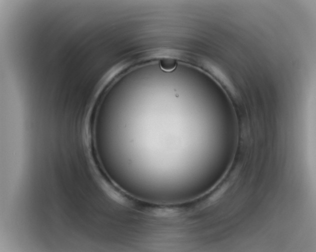 X0000114551082200910191406