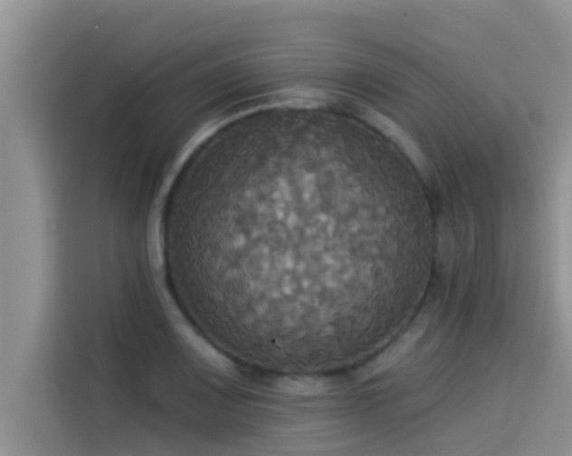 X0000114551083200910191406