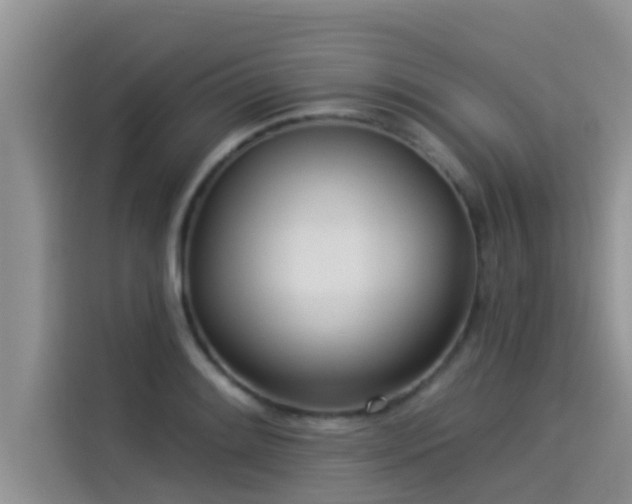 X0000114551084200910191406