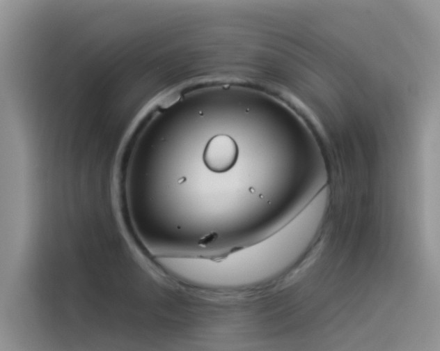 X0000114551085200910191406