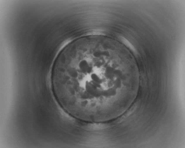 X0000114551087200910191406