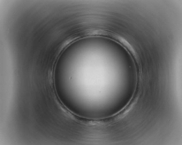 X0000114551089200910191406