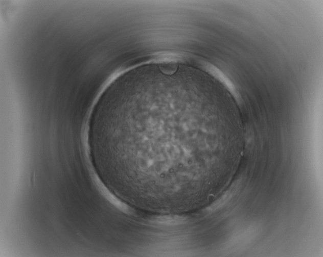 X0000114551091200910191406