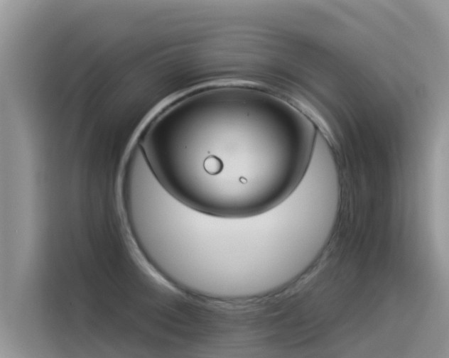 X0000114551092200910191406