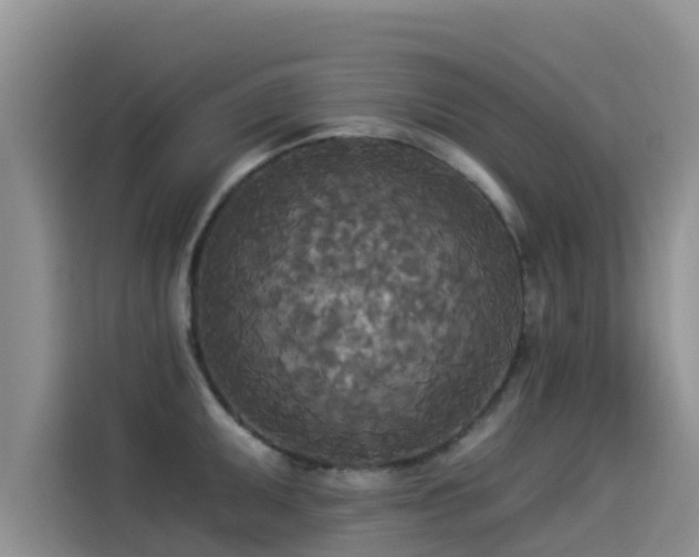 X0000114551095200910191406