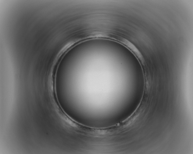 X0000114551096200910191406