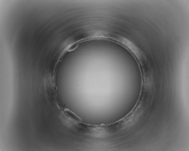 X0000114551097200910191406