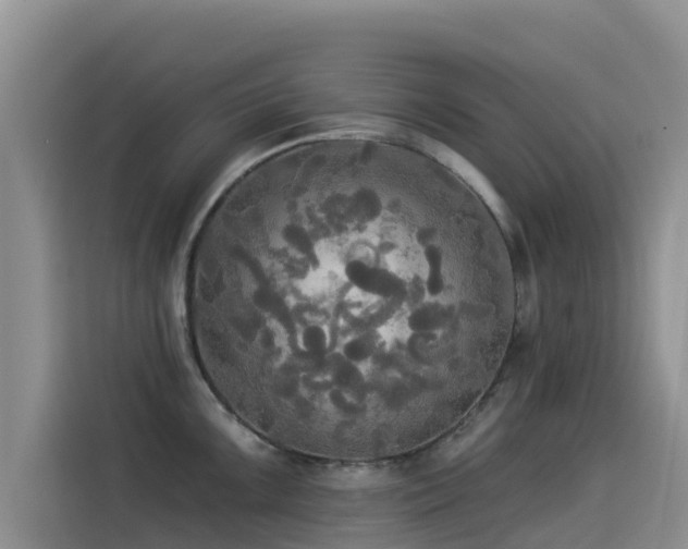 X0000114551099200910191406