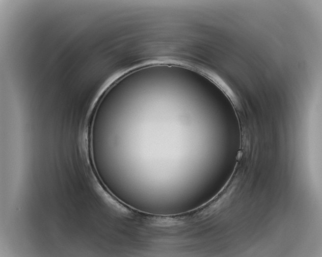 X0000114551100200910191406