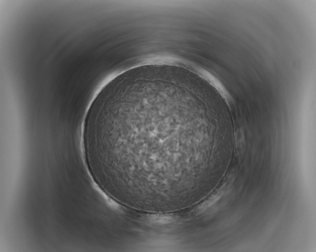 X0000114551103200910191406