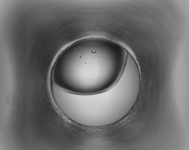 X0000114551104200910191406