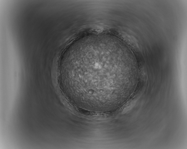 X0000114551105200910191405