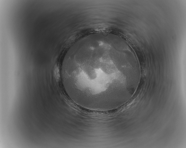 X0000114551106200910191405