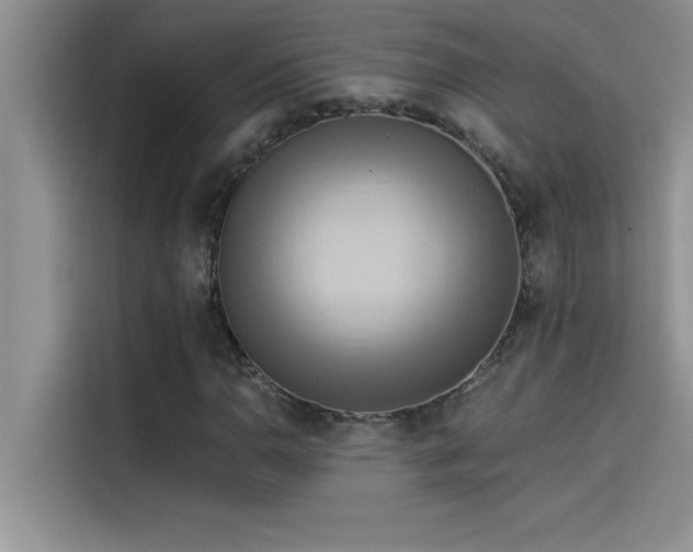 X0000114551110200910191405