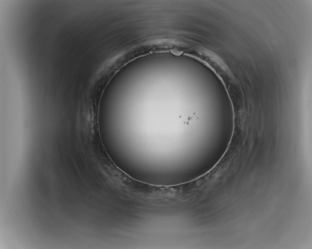 X0000114551111200910191405