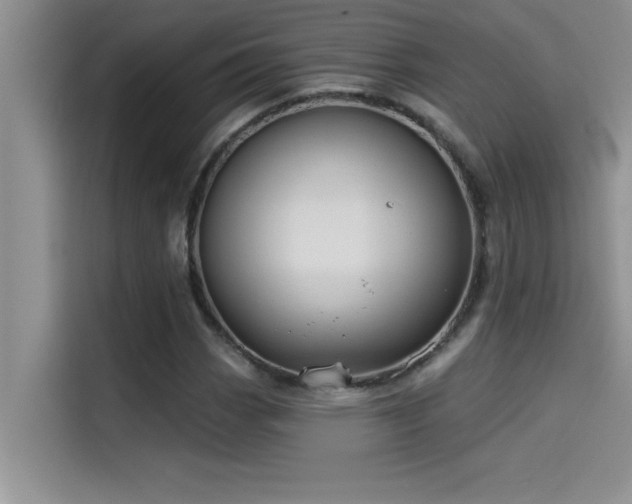 X0000114551113200910191405