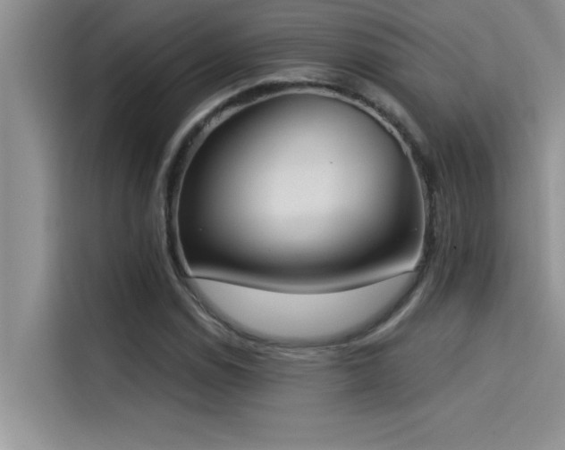 X0000114551114200910191406