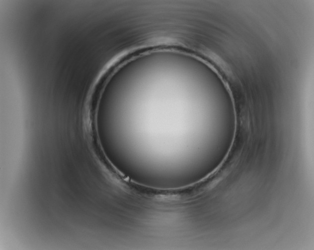 X0000114551118200910191406