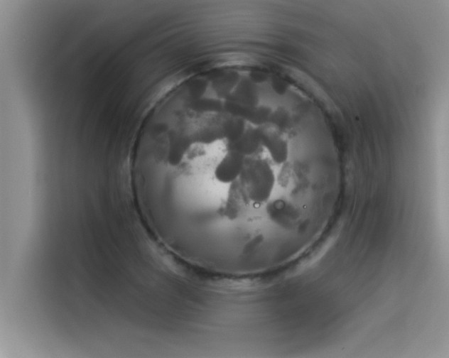 X0000114551121200910191406