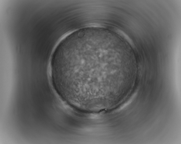 X0000114551125200910191406