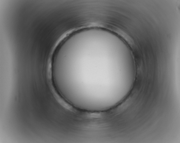 X0000114551126200910191406