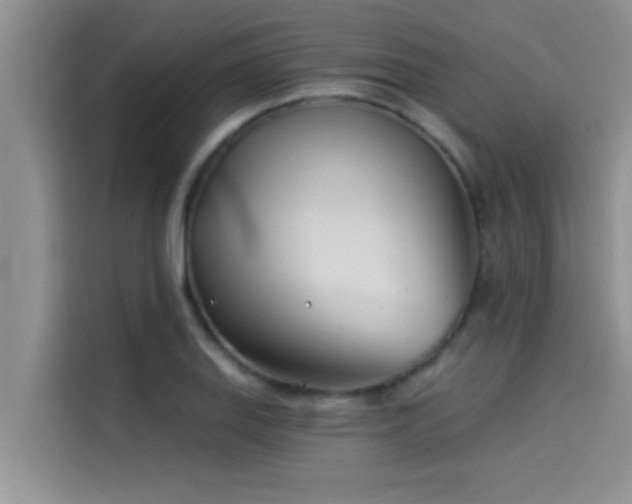 X0000114551127200910191406